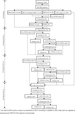 The Risk Stratification for Cervical Cancer and Precursors of Domestic HPV Testing With HPV 16/18 Genotyping in Women With NILM Cytology in CentralChina: A Cohort Study